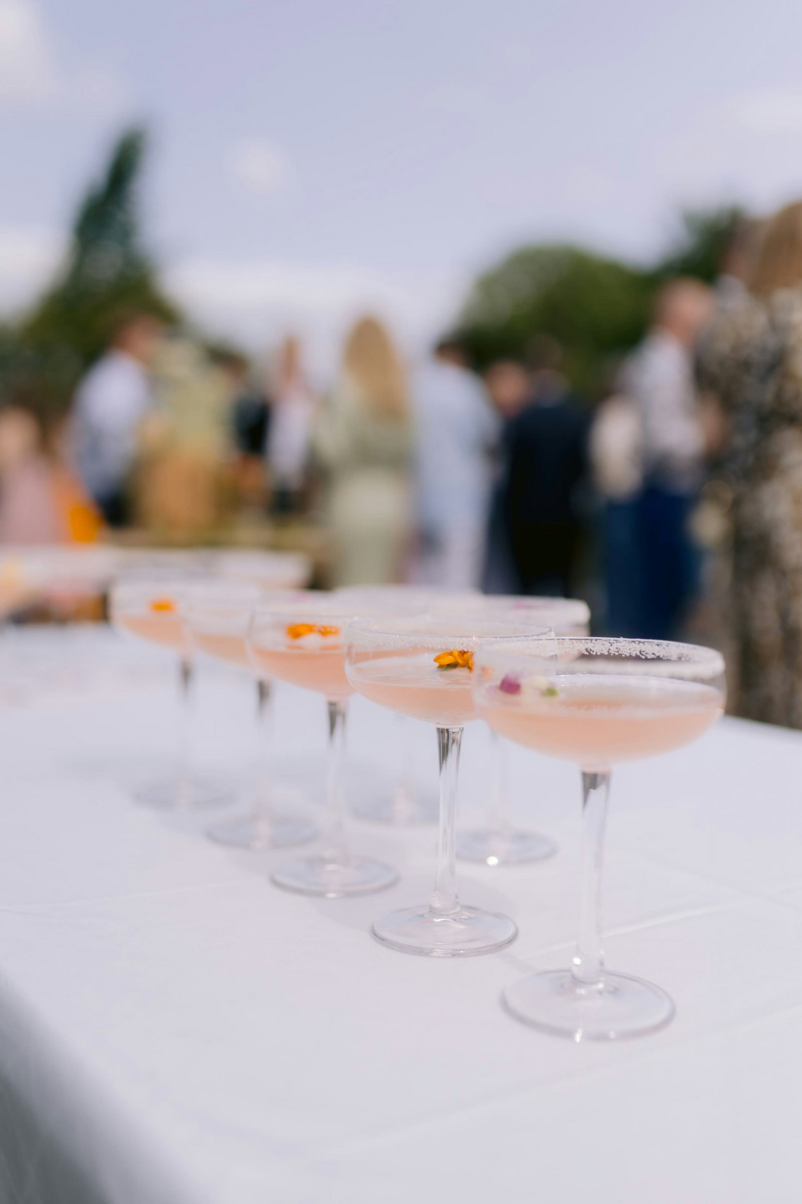 Row of blush signature cocktails in coupe glasses at an outdoor wedding cocktail hour